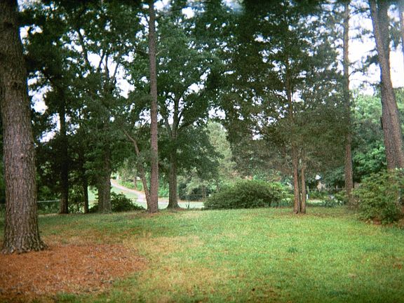 Back - view of #5 fairway