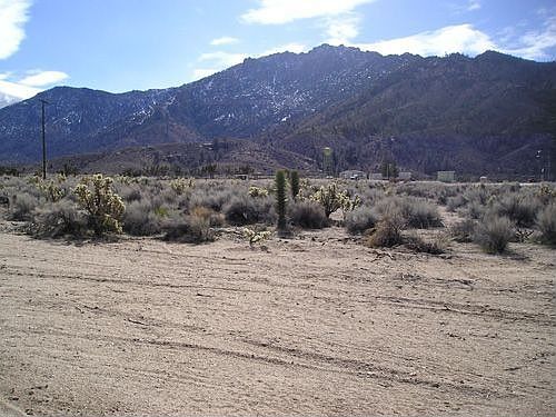Surrounding views