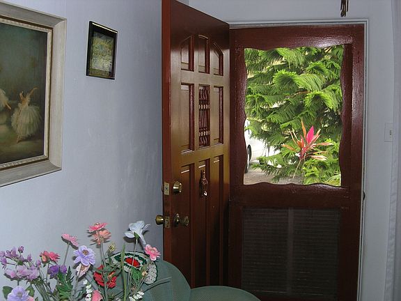 Looking out the front door