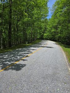 Lot 25 Panther Ridge Drive, Lake Toxaway, NC, 28747
