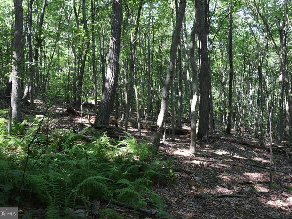 LOT 312 Ridge Run Rd, Claysburg, PA 16625
