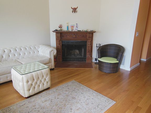 Fireplace in the Living Room