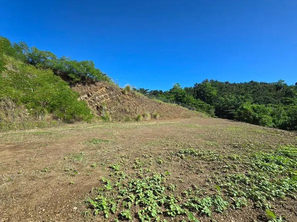 State Highway 414 Grande #Rio-2.5, Rincon, PR 00677