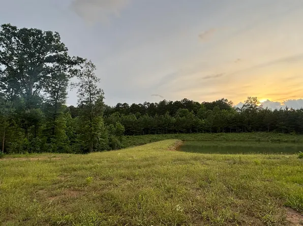 TRACT 2A Avalon Lake Ln, Mena, AR 71953