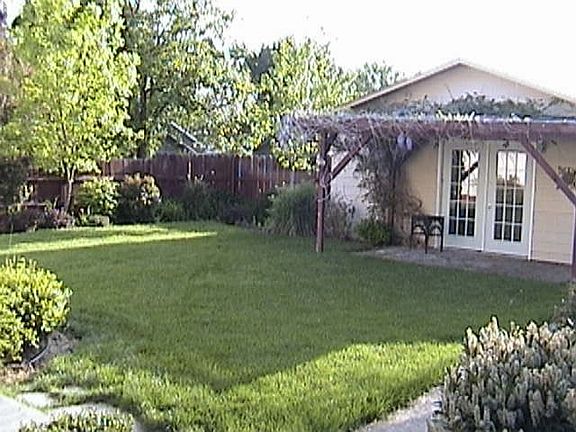 Backyard w/ Detached Office