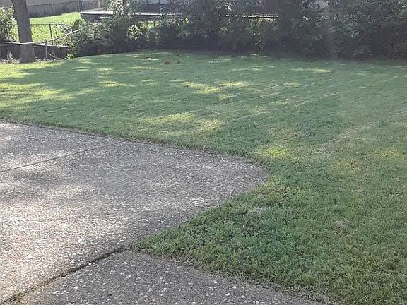 3rd image of 49 Buckley Meadows Dr