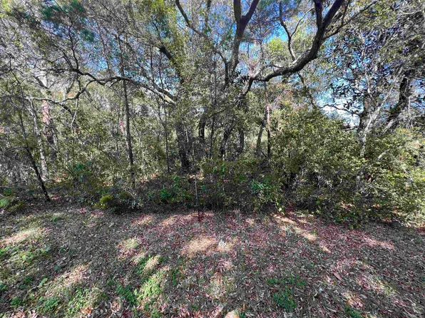 135 Iowa St, Lanark Village, FL 32323