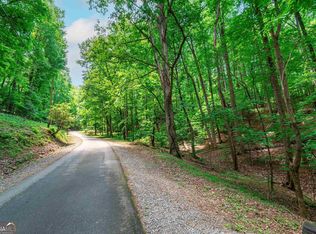 049AC Sleepy Hollow Rd, Ellijay, GA 30536