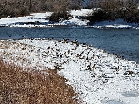 3rd image of 90 Edgar Fromberg Rd