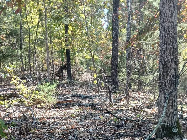 Lots 23,24 Forest St., Theodosia, MO 65761