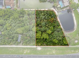 0 Us Highway 19, Hudson, FL 34667