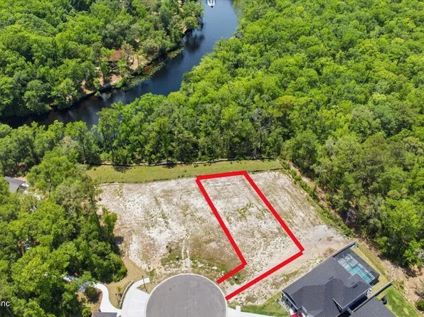 2258 PALISADE Point, Middleburg, FL 32068