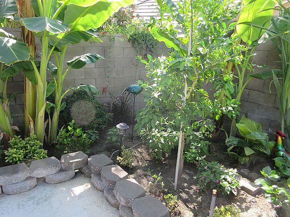 South Yard Garden