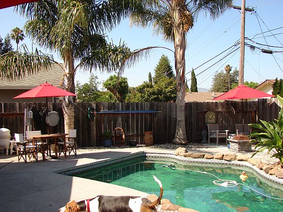 In Ground Pool
