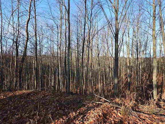 2nd image of 2 W Jefferson Ave Lot 2