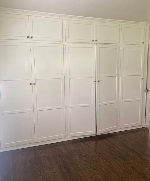 Large bedroom closet