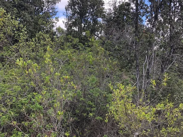 Catamaran Ln Lot 51, Ocean View, HI 96737
