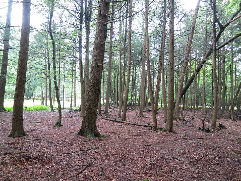 1st image of 00 Lakeside Ln