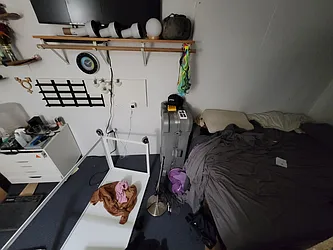 Rented by Garden Management