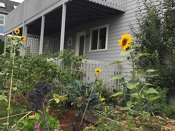 2nd image of 291 Shepard Way NW #291