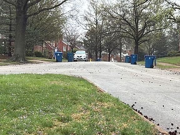 3rd image of 8435 Roanoke Dr