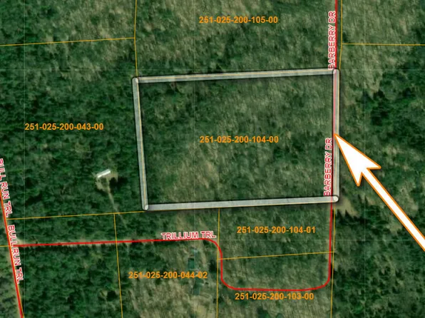 V/l S10ac Barberry Dr, Wolverine, MI 49799