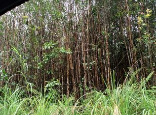 Ao Road Rd #2-LOT 2663, Mountain View, HI 96771