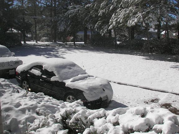From DR Window-front yard and drive