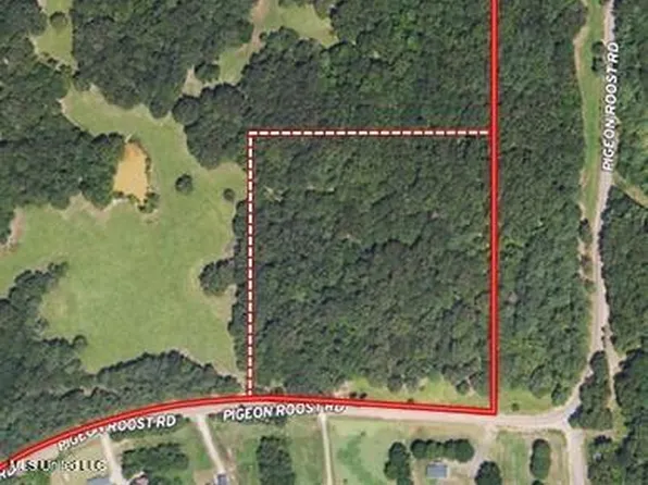 Pigeon Roost Rd, Coldwater, MS 38618