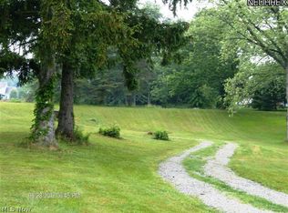 1105VL Wadsworth Rd, Medina, OH 44256