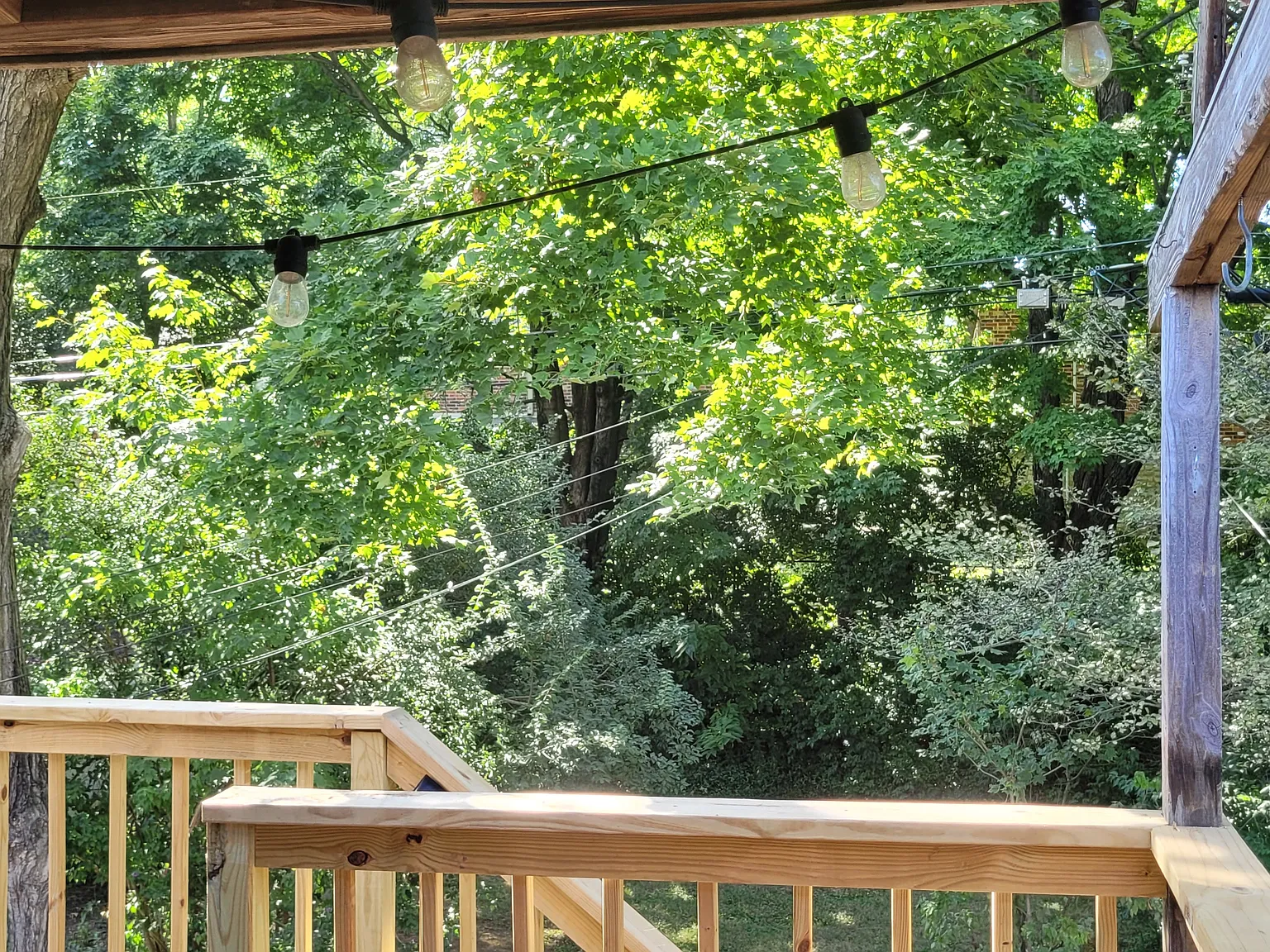 1 bed, 598 sqft, $1,100 — Photo 2
