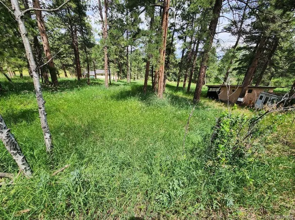 000 Dorothy Road, Evergreen, CO 80439