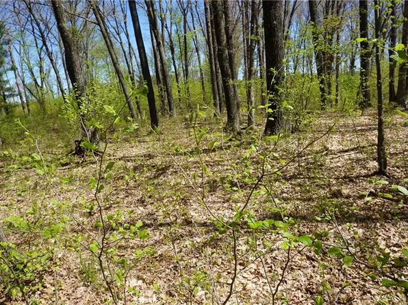 0 Poertner Road, Neillsville, WI 54456