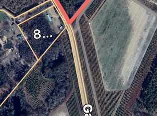 0 Gary Barnard Rd LOT 8, Cobbtown, GA 30420