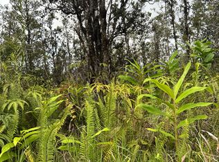 Road 4 LOT 179, Volcano, HI 96785