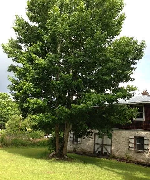 1394 Porchers Bluff Rd — Photo 1
