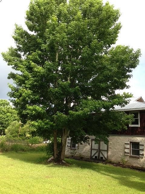 1st image of 1394 Porchers Bluff Rd