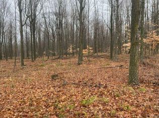 McMurphy Rd, Atlanta, MI 49709