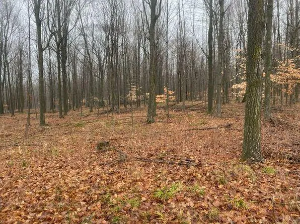 McMurphy Rd, Atlanta, MI 49709