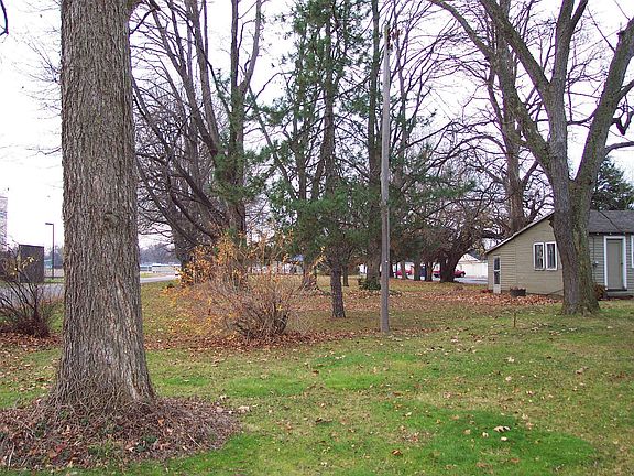 large back yard