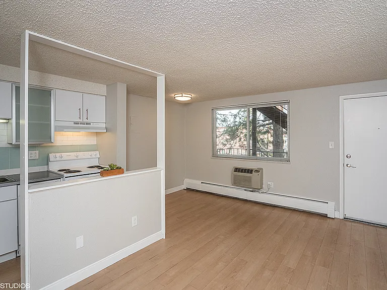 805 Dahlia — Photo 19