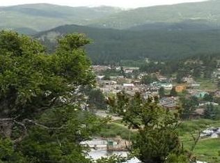 265 Big Springs Dr, Nederland, CO 80466