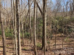 99999 Bennett Rd, Candler, NC 28715