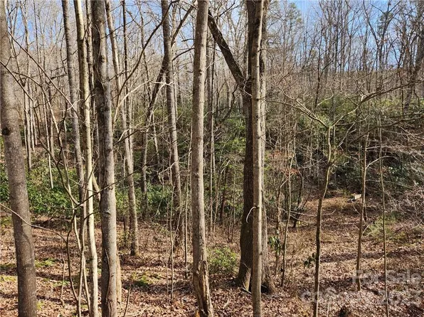 99999 Bennett Rd, Candler, NC 28715