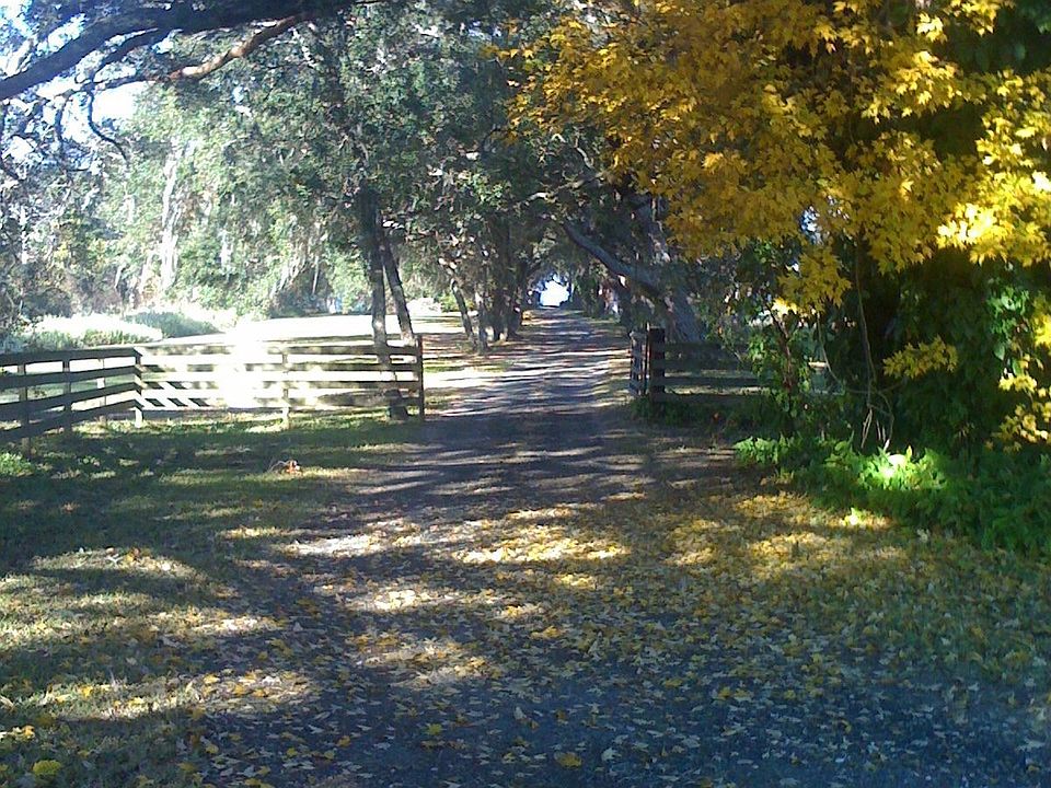 Entrance down a private road, only 2 homes!
