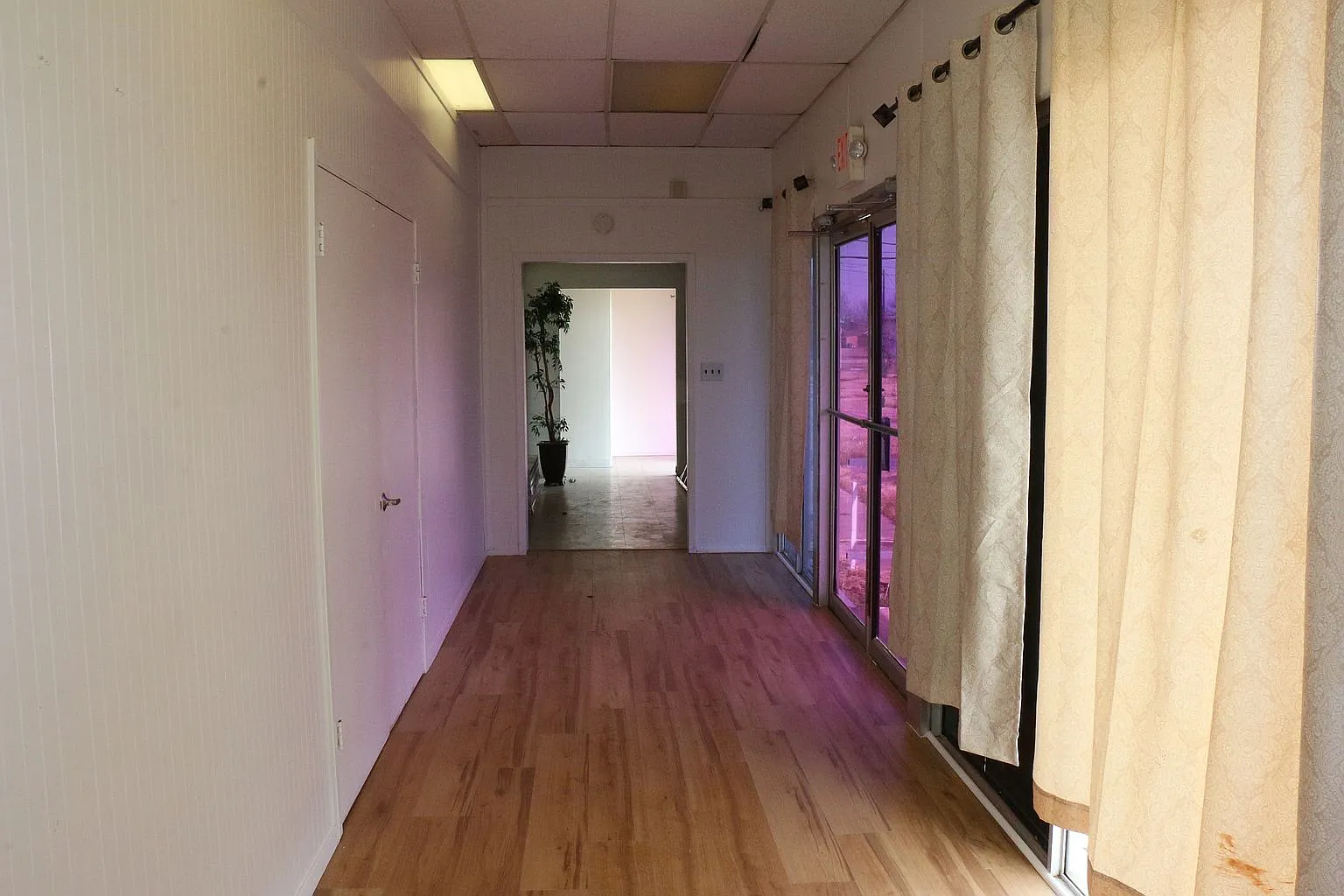 1 bed, 2542 sqft, $3,995 — Photo 4