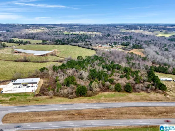 12531 State Highway 157 #1, Vinemont, AL 35179