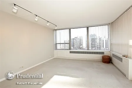 1460 Sandburg Ter APT 1601A photo 1