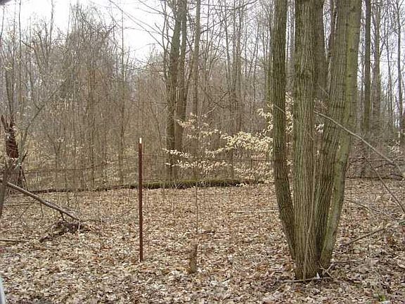 4th image of 700 S East Ct