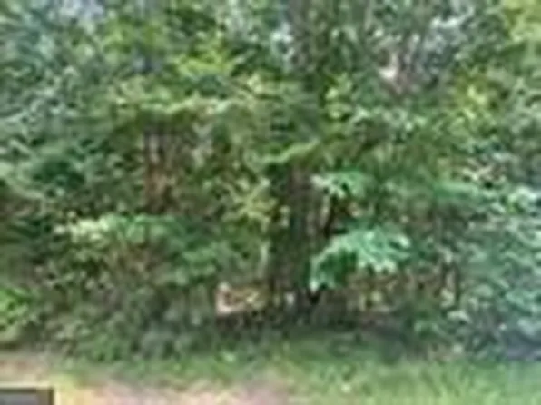 0 Buffalo Lick Rd, Union Pt, GA 30669